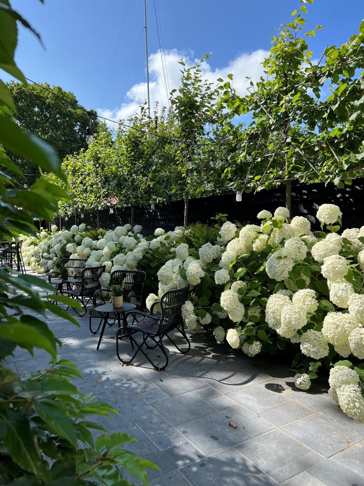 Poorter Boutique Hotel Brielle Bagian luar foto
